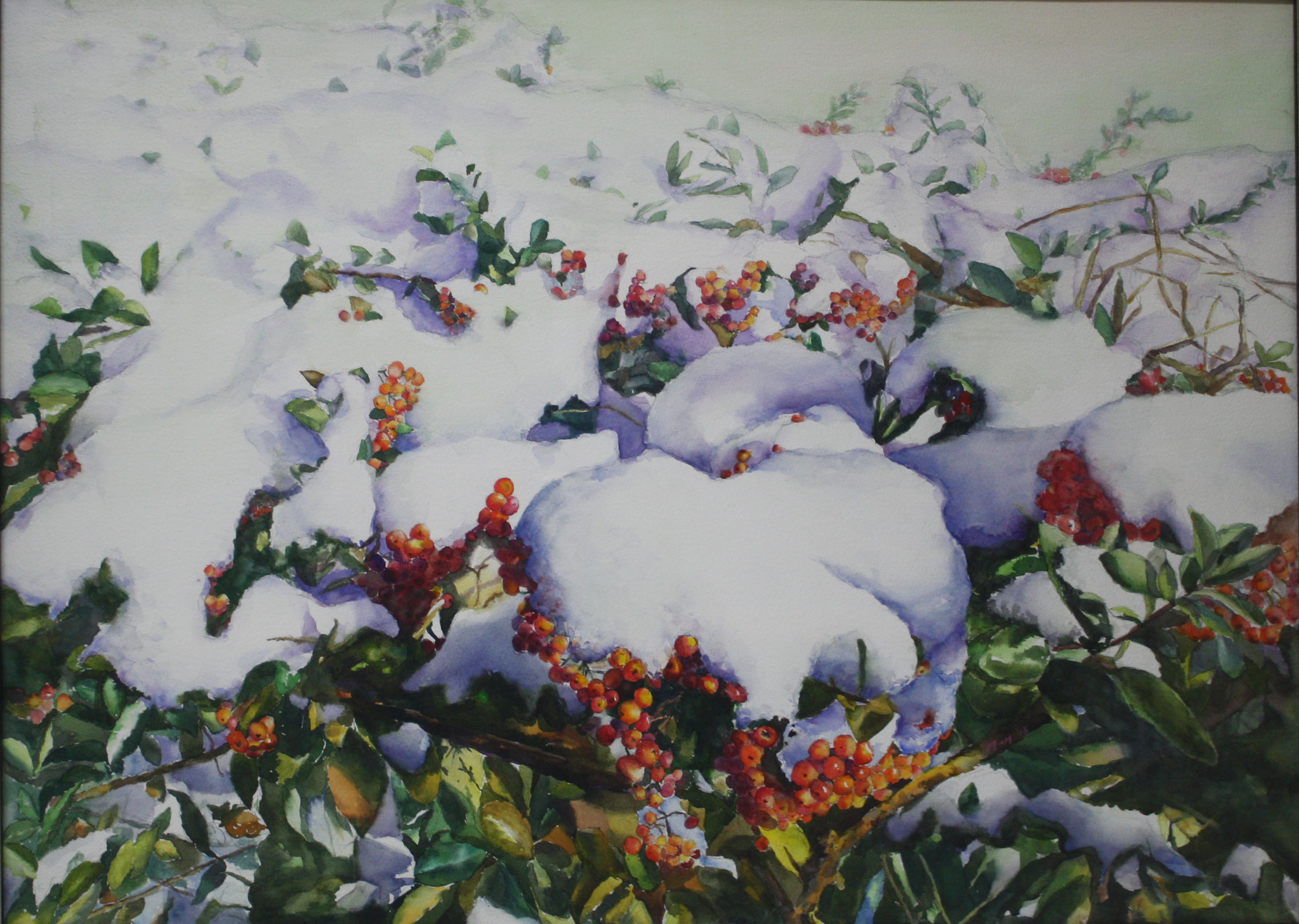 Snow_피라칸사스II